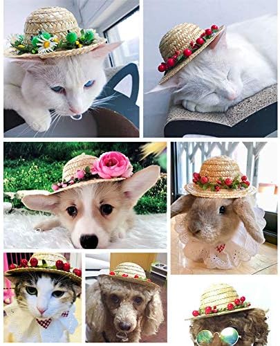כובע חתול Nacoco חמניות קש חמניות עם רוז בעבודת יד אביזרים כובע שמש מקסים לכלבים קטנים וחתולים תצלום