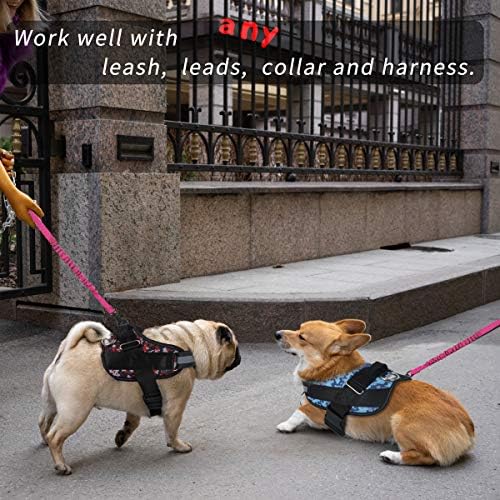 Noyal 2 חבילה 1.7 רגל רצועת כלב רצועה כבד הלם סופג הרחבה רצועה משופרת בטיחות כלבים מתאימה להליכה, ריצה, אופניים