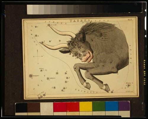 צילום היסטורי -פינדס: מזל שור, שור, אסטרונומיה, תרשים אסטרונומי, גלגל המזלות, קונסטלציה, פליידס, 1825