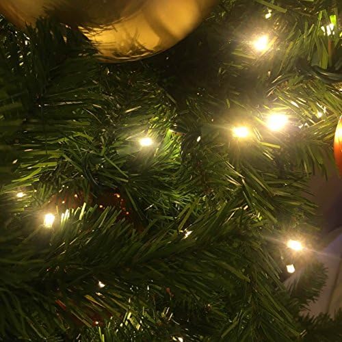 50 ספירה 5 ממ זווית רחבה נורות חג מולד אורות חג מולד, אורות מיתר LED חיצוניים לגינה פטיו עצים לחג המולד קישוט, חוט ירוק 17 רגל, לבן חם