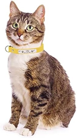 צווארון חתול של לוחית המותאמת אישית צוואר חתול מותאם אישית מזהה חרוט שם תג צווארון שרשרת צווארון רך שחרור מהיר שחרור בטיחות צוואת חתול